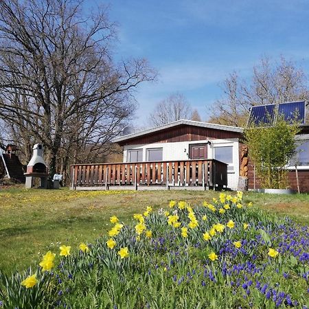 Ferienhaus Chiara, Suedharz, Harztor Ilfeld Eksteriør bilde