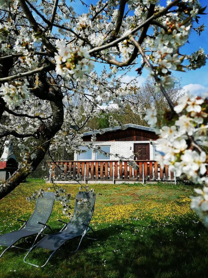 Ferienhaus Chiara, Suedharz, Harztor Ilfeld Eksteriør bilde